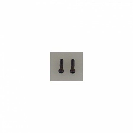 Hi-Tensile Pivot Ball Screw - SST(pr)