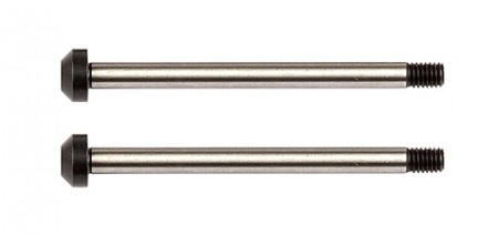 RC10B74 Rear Hub Hinge Pins